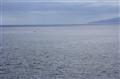 IMG_4853.jpg