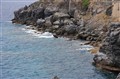 IMG_4856.jpg