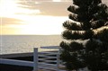IMG_4872.jpg