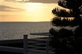 IMG_4873.jpg