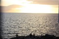 IMG_4879.jpg