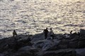 IMG_4880.jpg