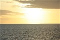 IMG_4882.jpg