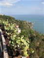 Sicilien 2009 257.jpg