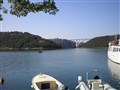 P4120030.jpg