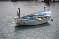 IMG_0015.JPG