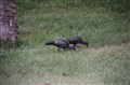 IMG_0312.JPG