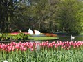 holland 001.jpg