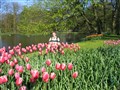holland 003.jpg