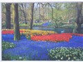 holland 005.jpg