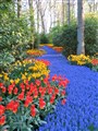 holland 015.jpg