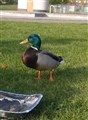 CAM00503.jpg