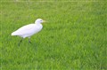 IMG_0316.JPG