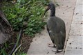 IMG_0322.JPG