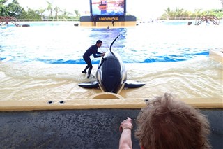 Orca show Loro Park