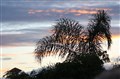 IMG_2299.JPG