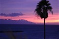 IMG_2559.JPG