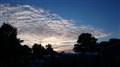 DSC_0209.JPG