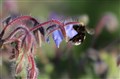 IMG_0492.JPG