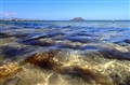 P4260045.JPG